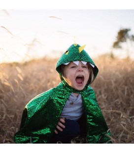 Green Dragon Cape 2-3 years