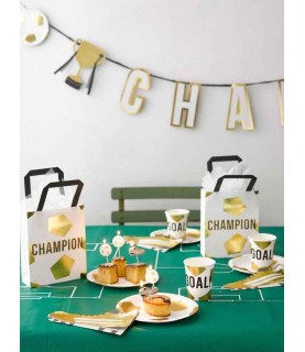 12 Football Party Champions Plates