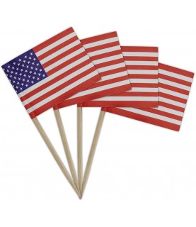 30 USA Flag Party Picks