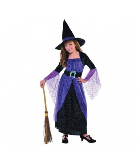 Pretty Potion Witch Costume