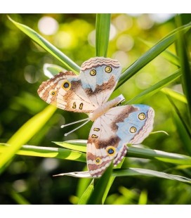 2 Papillons en Bois Taupe/Bleu