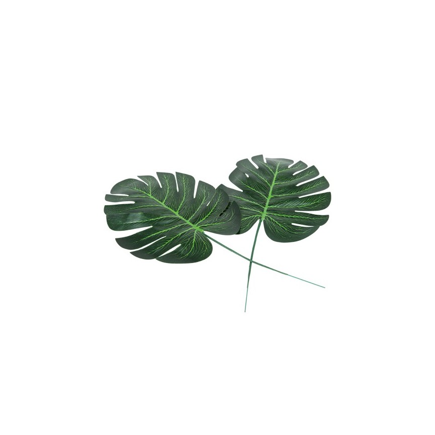 4 Tropical Leaves