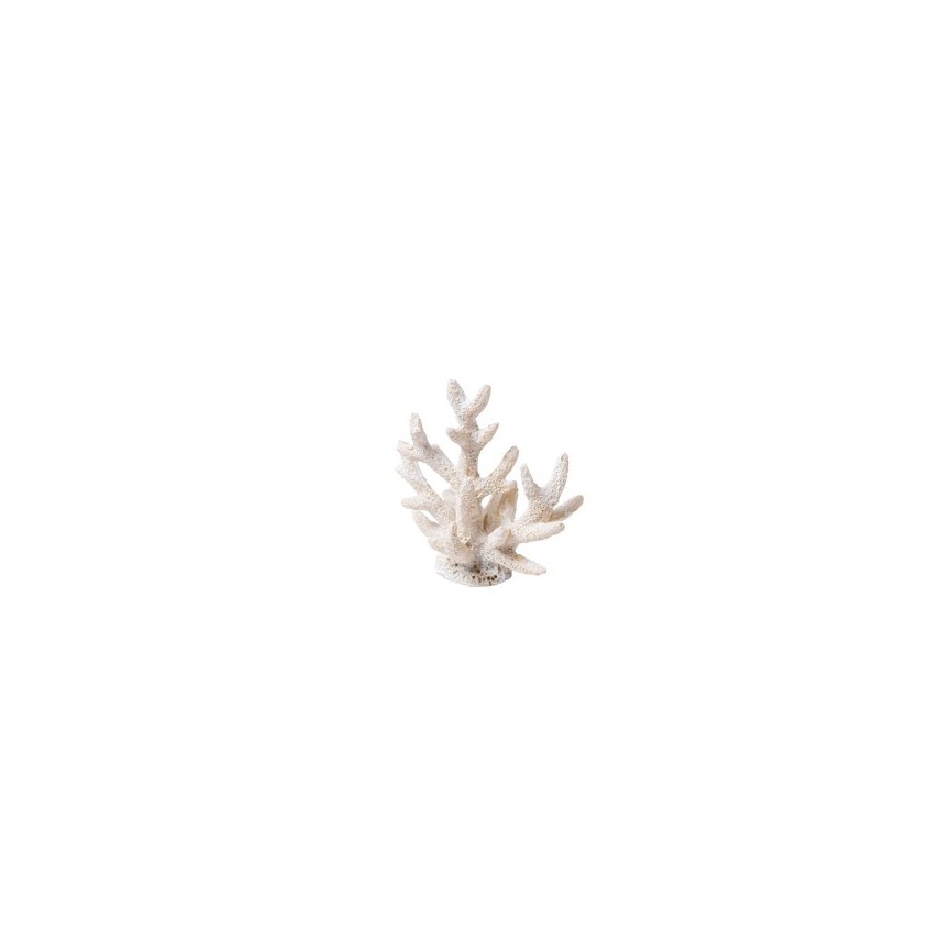 2 White Coral Place Card Holder