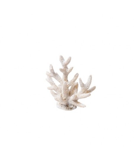 2 White Coral Place Card Holder
