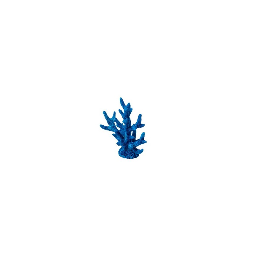 2 Blue Coral Place Card Holder