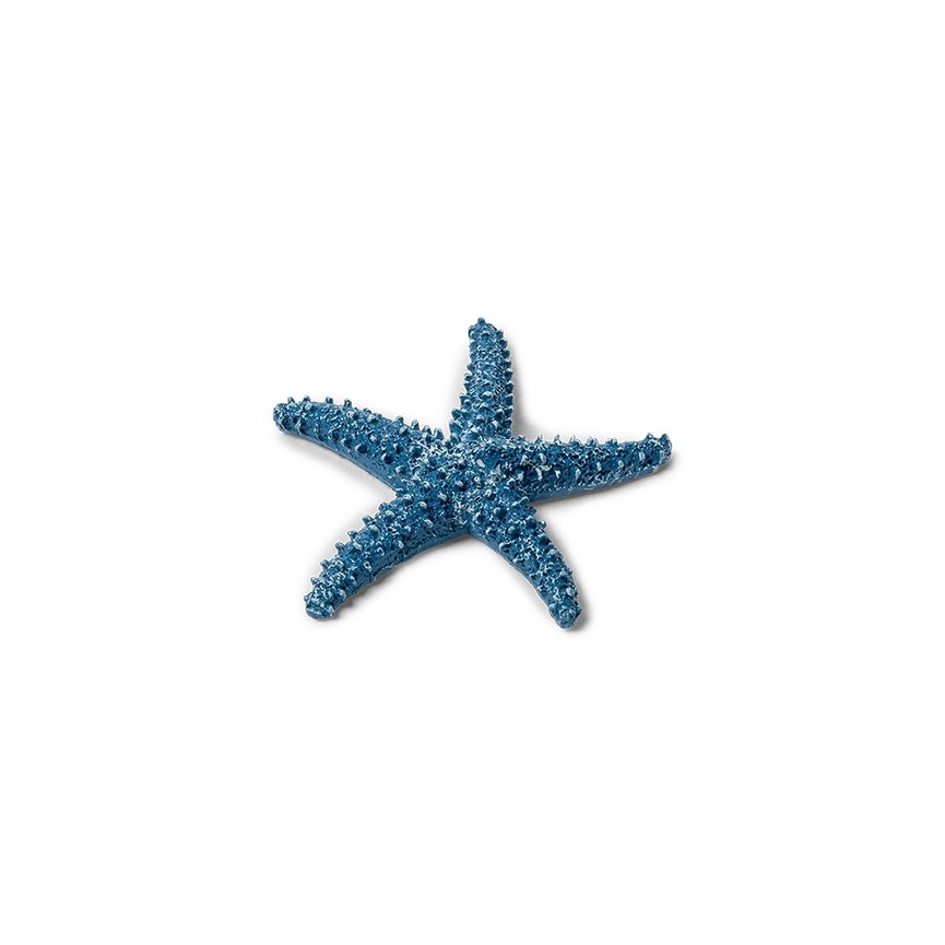 1 Blue Starfish