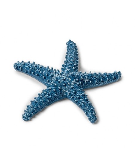 1 Blue Starfish
