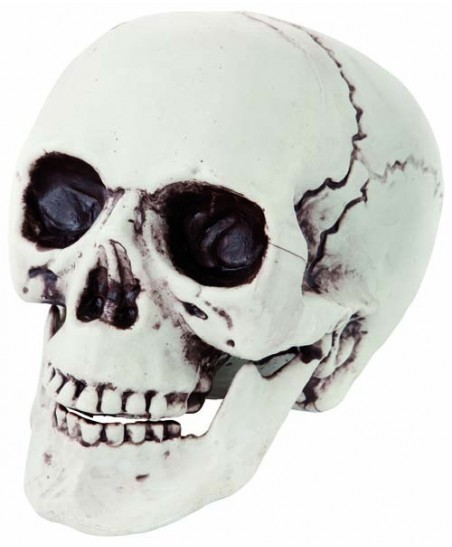 Crâne en Plastique