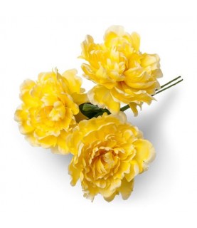 3 Yellow Peonies Bouquet
